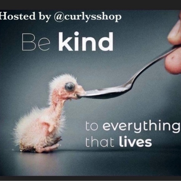 PARTICIPANT IN THE HOLIDAY POP UP SHARE EVENT @ckcloset1 - Picture 8 of 9